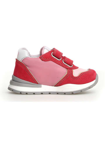 Naturino Sneakers "Papaya" in Pink