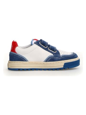 Naturino Skórzane sneakersy "Ariton 2" w kolorze niebiesko-białym