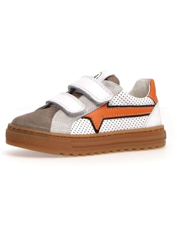 Naturino Leder-Sneakers "Blitz" in Weiß/ Braun/ Orange