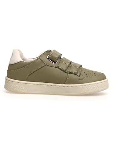 Naturino Leder-Sneakers "Theral" in Khaki