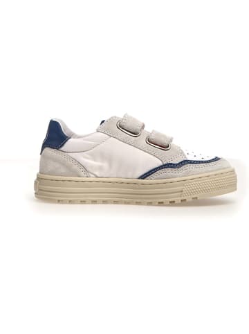 Naturino Leren sneakers "Ariton" wit/grijs