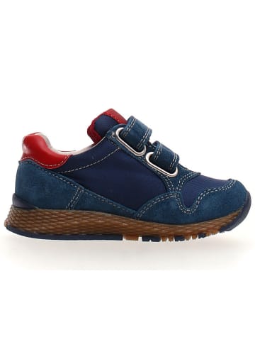 Naturino Sneakers in Dunkelblau