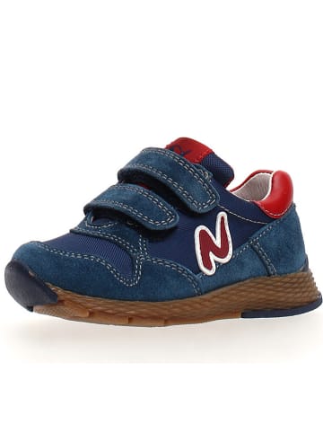 Naturino Sneakers in Dunkelblau