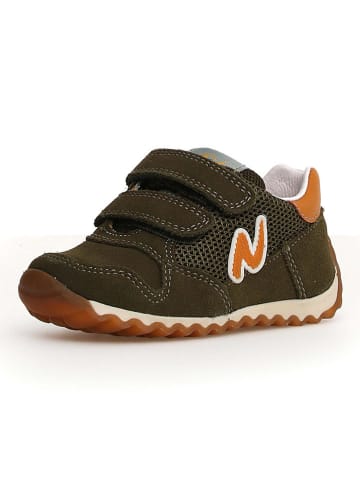 Naturino Leder-Sneakers "Sammy 2" in Khaki/ Orange