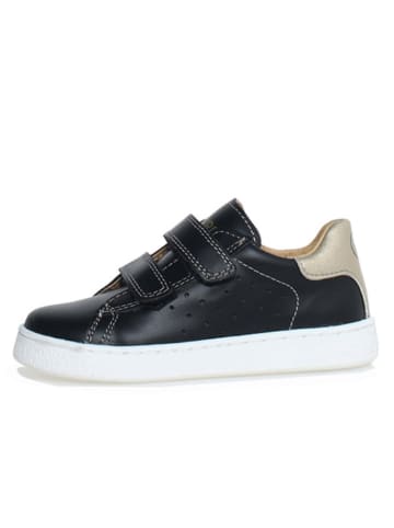 Naturino Leder-Sneakers "Hasselt 2" in Schwarz/ Gold