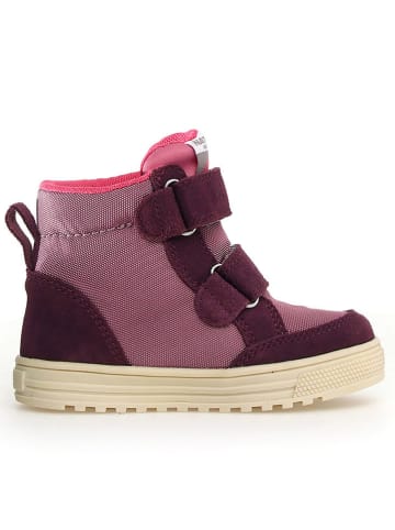 Naturino Leder-Sneakers "Tabby" in Lila/ Rosa