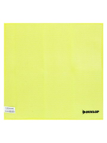 Dunlop 3-delige auto-raam-schoonmaakset geel/blauw