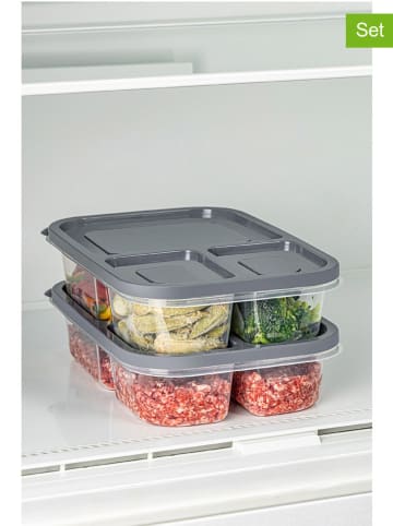 Violeta Home 2-delige set: voorraadcontainers grijs - (B)24 x (H)15 x (D)5 cm