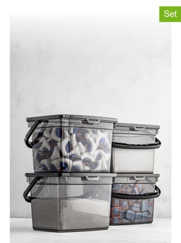 Violeta Home 4-delige set: opbergdozen antraciet - (B)23 x (H)16 x (D)18 cm