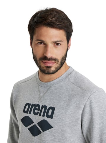 Arena Sweatshirt grijs