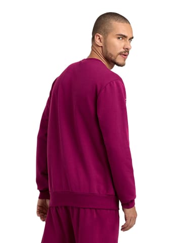 Arena Sweatshirt in Bordeaux
