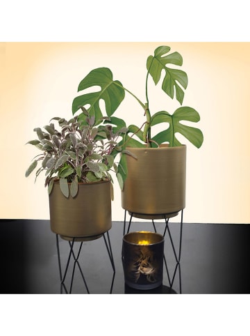 Rétro Chic 2er-Set: Blumentöpfe in Gold/ Schwarz