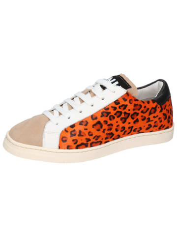 MELVIN & HAMILTON Leder-Sneakers "Milani 3" in Bunt