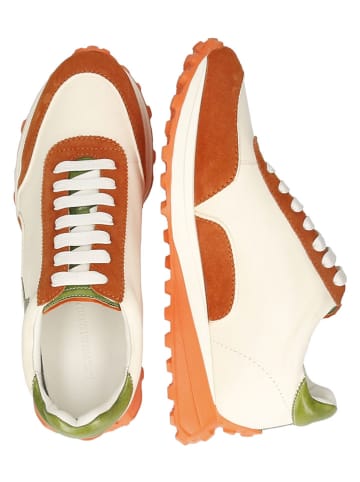 MELVIN & HAMILTON Leren sneakers "Richmond 13" crème