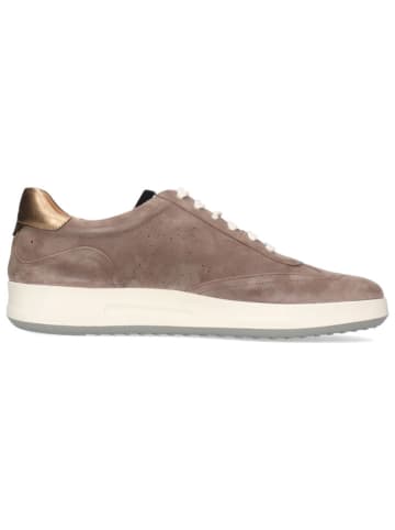 MELVIN & HAMILTON Leren sneakers "Luca 1" grijs