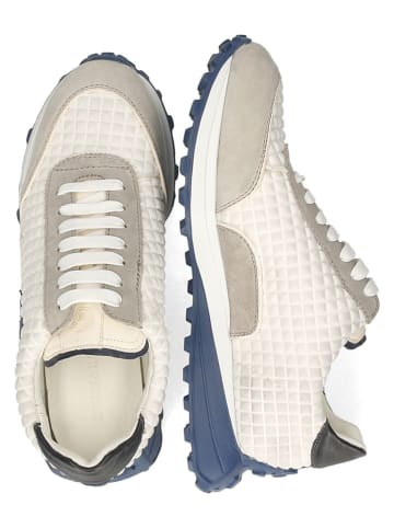 MELVIN & HAMILTON Sneakers "Richmond 13" in Creme