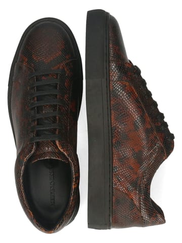 MELVIN & HAMILTON Leren sneakers "Tyler 1" bruin