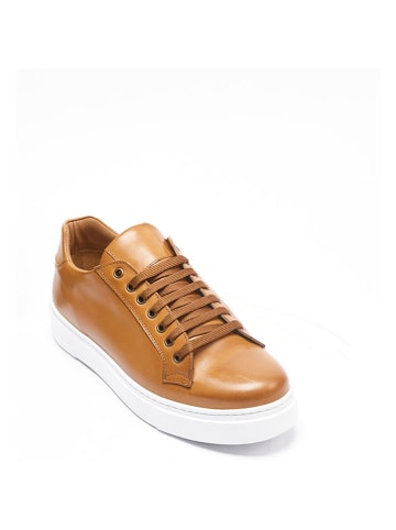 British Passport Leder-Sneakers in Hellbraun