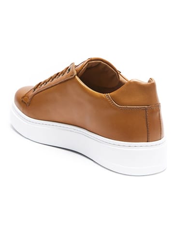 British Passport Leder-Sneakers in Hellbraun