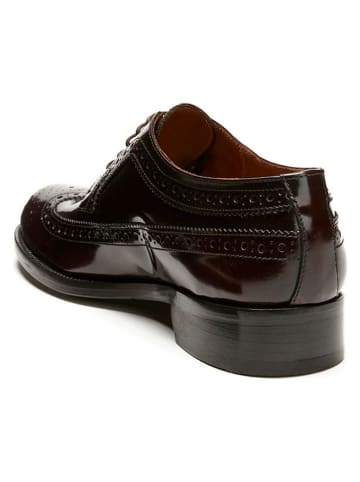 British Passport Skórzane trzewiki w kolorze bordowym