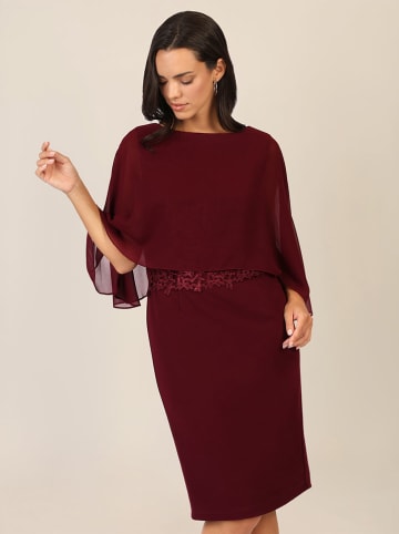 APART Kleid in Bordeaux