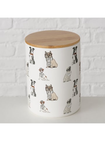 Boltze 2-delige set: voorraadblikken "Archy" wit/lichtbruin - (H)16,2 cm