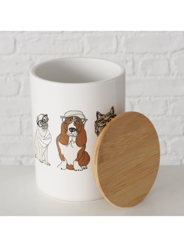 Boltze 2er-Set: Vorratsdosen "Archy" in Weiß/ Hellbraun - (H)16,2 cm