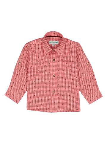 Isartrachten Trachtenhemd in Rot/ Weiß