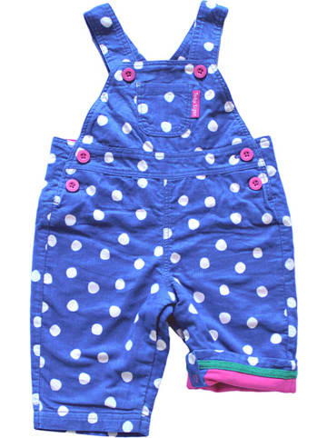 Toby Tiger Cordlatzhose in Blau/ Weiß