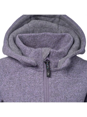 Isbjörn Fleecejacke in Lila