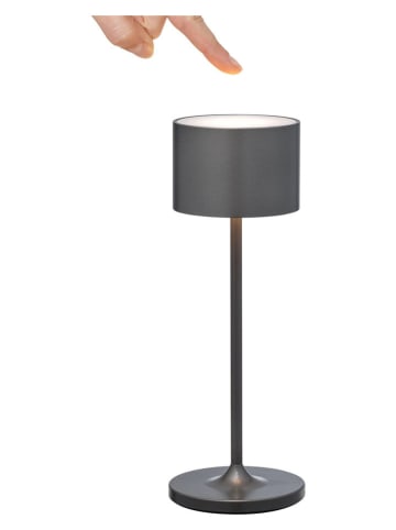 Blomus Ledtafellamp "Farol Mini" - energieklasse G (A tot G) - (H)19 cm