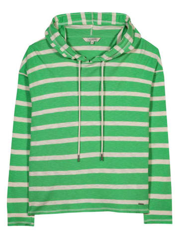 Herrlicher Hoodie groen
