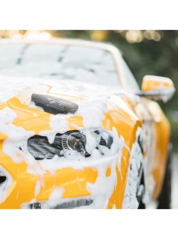 Clia Gąbka samochodowa "Clia Genie Car" w kolorze szarym - 22 x 13,5 cm