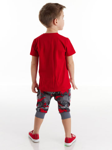 Denokids 2tlg. Outfit "Dino" in Rot/ Grau