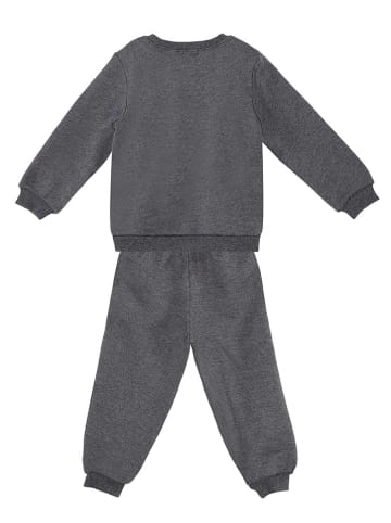 Denokids 2-delige outfit "Tiny Cat" grijs