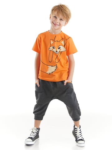 Denokids 2-delige outfit "Orange Fox" oranje/grijs