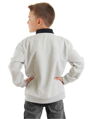 Denokids Bluza "Wolf" w kolorze szarym