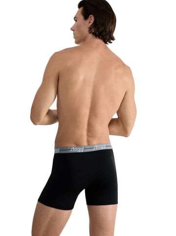 Sloggi 2er-Set: Boxershorts ''Start'' in Schwarz/ Grau