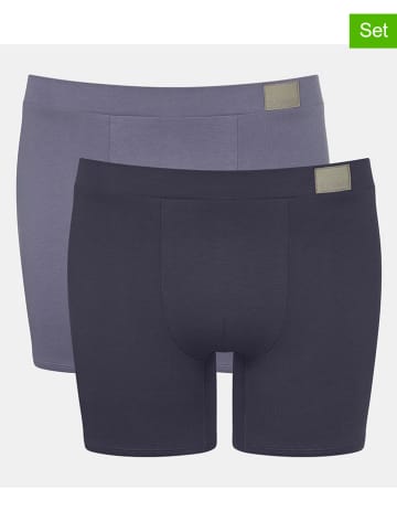 Sloggi 2er-Set: Boxershorts in Hellblau/ Dunkelblau