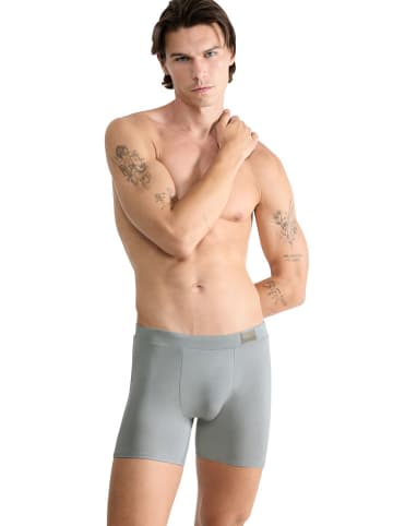 Sloggi 2-delige set: boxershorts "Go Natural" blauw/grijs