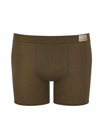 Sloggi 2-delige set: boxershorts bruin/kaki