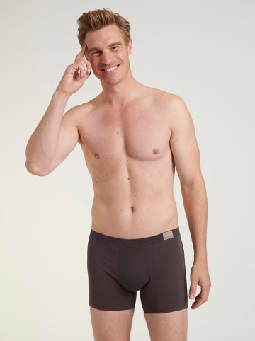 Sloggi 2er Set: Boxershorts in Braun/ Khaki