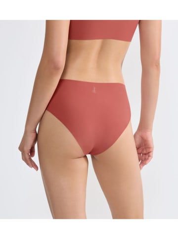 Sloggi Slip in Hellbraun