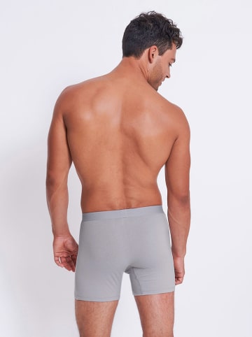 Sloggi 2er-Set: Boxershorts in Hellgrau