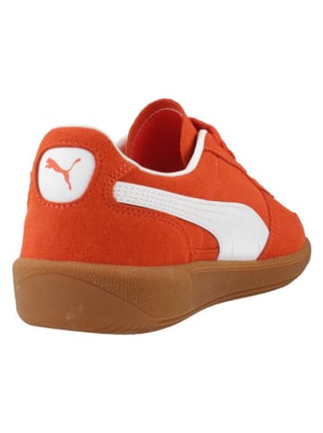 Puma Leder-Sneakers "Palermo" in Orange