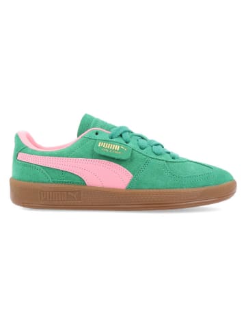 Puma Leren sneakers "Palermo" groen