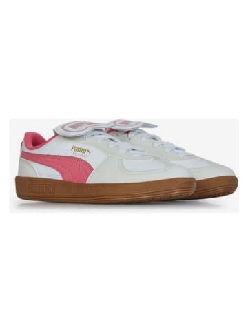 Puma Leren sneakers "Palermo Premium" roze/beige