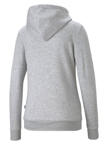 Puma Hoodie in Grau