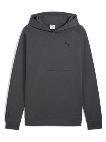 Puma Hoodie in Anthrazit