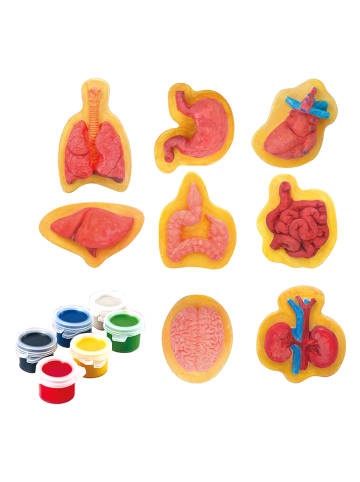 Explora Malset - ab 4 Jahren